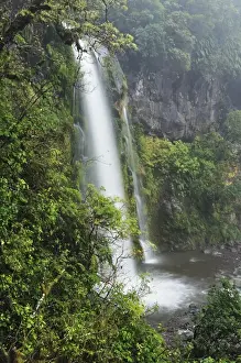 Taranaki Prints: Dawson Falls, Mount Taranaki National Park (Mount Egmont National Park)