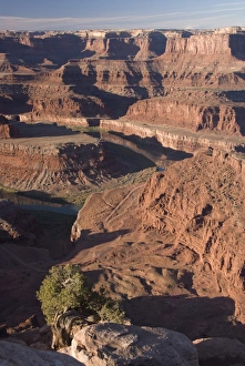 Images Dated 30th October 2009: Dead Horse Point Overlook in the early morning, Dead Horse Point State Park