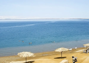 Images Dated 15th October 2007: Dead Sea, Jordan, Middle East