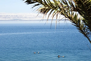 Images Dated 15th October 2007: Dead Sea, Jordan, Middle East