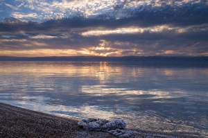 Images Dated 5th March 2008: The Dead Sea, with salt crystals, Jordan, Middle East