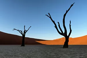 Silhouetted Gallery: Deadvlei, Namibia, Africa