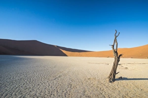 Deadvlei, an old dry lake in the Namib desert, Namibia, Africa