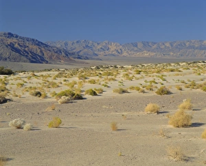 Death Valley National Park
