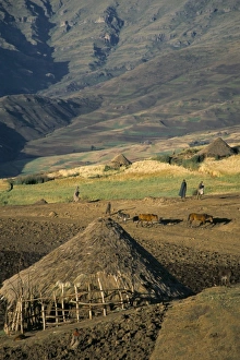 Debirichwa village in early morning, Simien Mountains National Park, UNESCO World Heritage Site