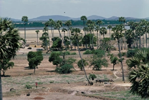 Plateau Prints: Deccan plateau