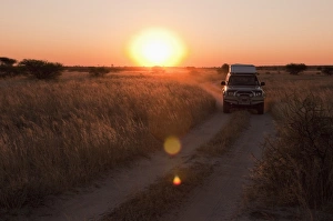 Images Dated 7th June 2009: Deception Valley, Central Kalahari Game Reserve, Botswana, Africa