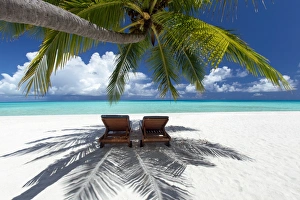 Arecaceae Prints: Two deck chairs under palm trees and tropical beach, The Maldives, Indian Ocean, Asia