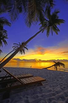Deckchair on tropical beach by palm tree at dusk and blue heron, Maldives