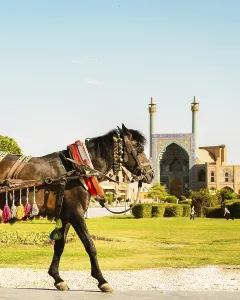 Old Towns Prints: Decorated brown iranian horse carriage for ride