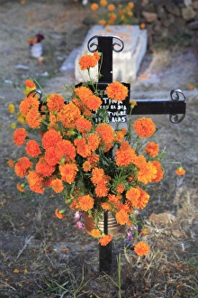 Images Dated 2nd November 2008: Decorated graves, Cemetery, Janitzio Island, Day of the Dead, Lake Patzcuaro