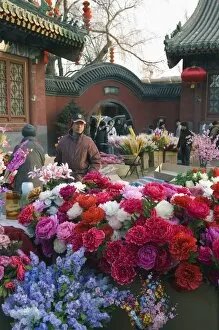 Images Dated 7th February 2008: Decorations at a Temple Fair at Donyue Temple during Chinese New Year Spring Festival