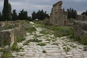 Decumanus (Main Street), Punic and Roman site of Utica, Tunisia, North Africa, Africa
