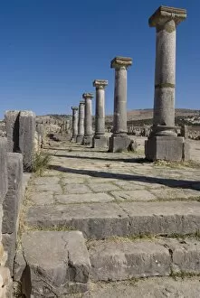 Decumanus Maximus (main east west road), Roman site of Volubilis, UNESCO World Heritage Site
