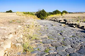 Cobbled Prints: Decumanus maximus, Roman road, Naturalistic Archaeological Park of Vulci, Etruscan city