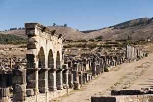 Images Dated 11th November 2009: Decumanus Maximus, Volubilis, Morocco, North Africa, Africa