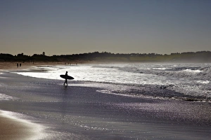 Sydney Prints: Dee Why Beach, Sydney, New South Wales, Australia, Pacific