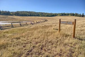 Fence Prints: Deer Lake Sinkhole near sunset on the Kaibab Plateau in northern Arizona