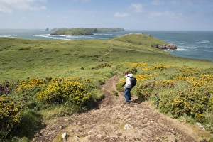 Dirt Track Prints: Deer Park and Skomer Island, Marloes Peninsula
