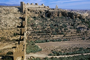 Alcazaba Prints: Defensive walls