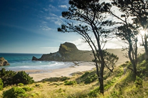 Deliverance Cove, Castlepoint, Wellington Region, North Island, New Zealand, Pacific