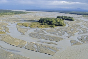 Delta Prints: Delta sandbanks and braided channels