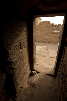 Images Dated 10th February 2009: Dendera Temple Complex, Egypt, North Africa, Africa