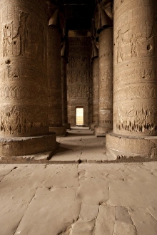 Images Dated 10th February 2009: Dendera Temple Complex, Egypt, North Africa, Africa