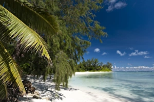 Denis Island, Seychelles, Indian Ocean, Africa
