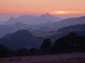 Images Dated 24th November 2007: Dentelle de Montmirail, Provence, France, Europe