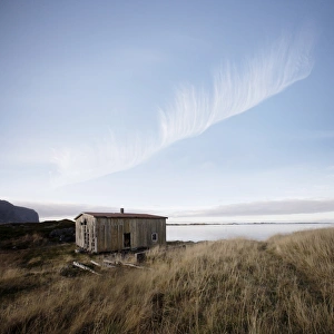 Neglected Prints: Derelict barn on coast, Lofoten Islands, Norway, Scandinavia, Europe