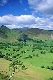 Prairie Prints: Derwent Fells from Cat Bells, Lake District National Park, Cumbria, England, UK