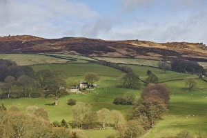 Derwent Valley Prints: Derwent Valley, Peak District National Park, Derbyshire, England, United Kingdom, Europe