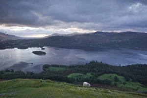 Live Stock Prints: Derwent Water under a cold sunrise in October