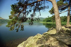 Lakes Prints: Derwentwater, Lake District National Park, Cumbria, England, United Kingdom, Europe