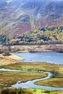 Grange Prints: Derwentwater and the Slopes of Catbells in autumn from Surprise View in Ashness Woods near Grange