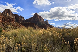 Watchman Prints: Desert brush and the Watchman in winter