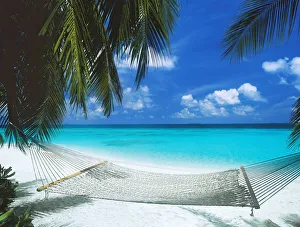 Tropical Climate Prints: Desert island and hammock on the beach, Maldives, Indian Ocean, Asia