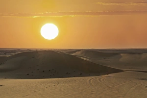 Arabian Peninsula Prints: The desert near Liwa, Abu Dhabi, United Arab Emirates, Middle East