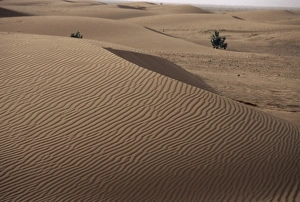 Ripple Prints: Desert between Nouadhibou and Nouakchott
