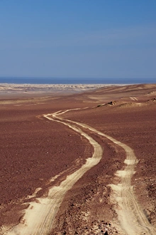 Tracks Prints: Empty desert road, Skeleton Coast National Park, Namibia, Africa