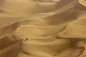Images Dated 22nd February 2008: Desert safari, Dubai, United Arab Emirates, Middle East