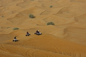 Images Dated 22nd February 2008: Desert safari, Dubai, United Arab Emirates, Middle East