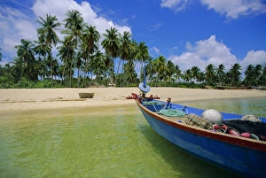 Phu Quoc Prints: Deserted beach on south coast