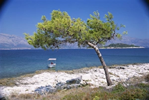Korcula Prints: Deserted island beach, Lumbarda, Corcula (Korcula) Island, southern Dalmatia