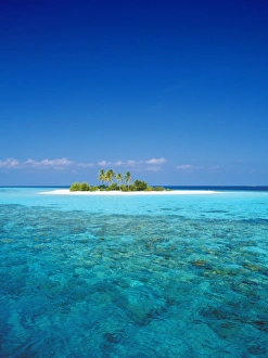 Images Dated 27th November 2009: Deserted island, Maldives, Indian Ocean