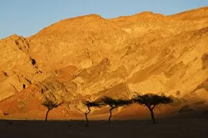 Desertscape, near Nuweiba, Sinai, Egypt, North Africa, Africa