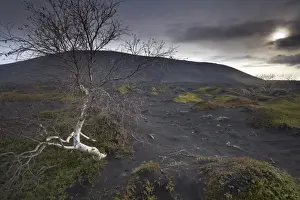 Myvatn Prints: Desolate black ash landscape at the foot of Hverfjall (Hverfell) volcano