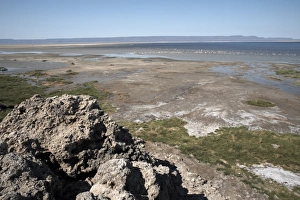 Lac Abbe Prints: The desolate landscape of Lac Abbe, Djibouti, Africa