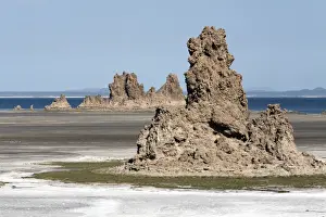 Lac Abbe Prints: The desolate landscape of Lac Abbe, dotted with limestone chimneys, Djibouti, Africa